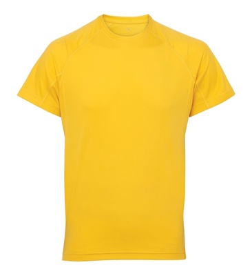 TriDri Panelled Tech Tee TR011